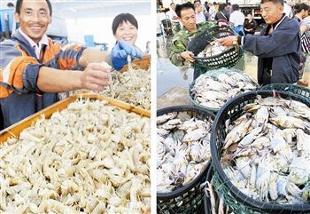 渤海休漁結束，開海喜迎豐收