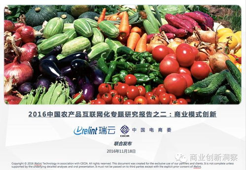 產(chǎn)業(yè)變革與模式突破 2016中國農(nóng)產(chǎn)品互聯(lián)網(wǎng)化專題研究報(bào)告之二——水產(chǎn)品商業(yè)模式創(chuàng)新