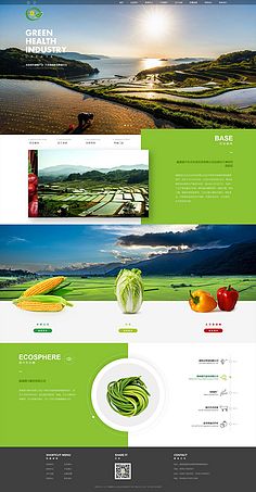 電腦平面設(shè)計(jì)在農(nóng)業(yè)網(wǎng)站中的應(yīng)用與發(fā)展